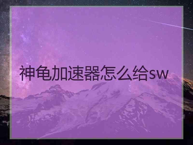 神龟加速器怎么给sw