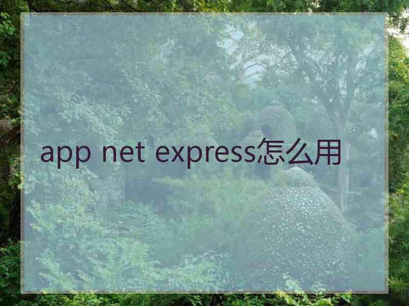 app net express怎么用