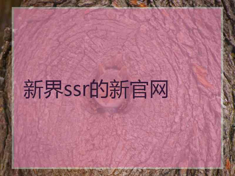 新界ssr的新官网