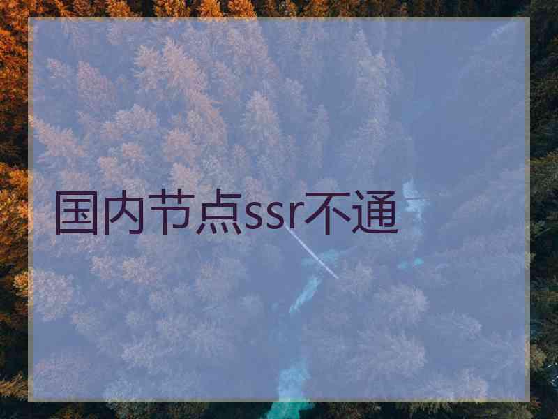 国内节点ssr不通