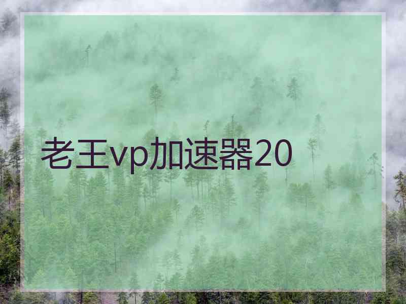 老王vp加速器20