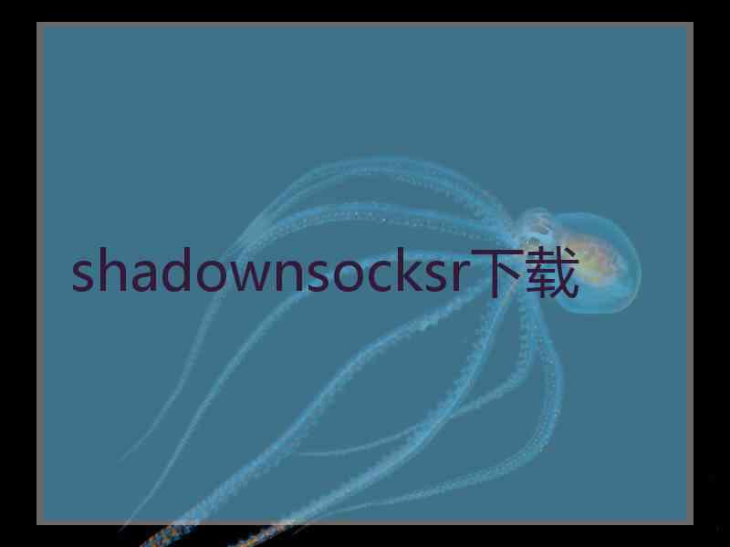 shadownsocksr下载