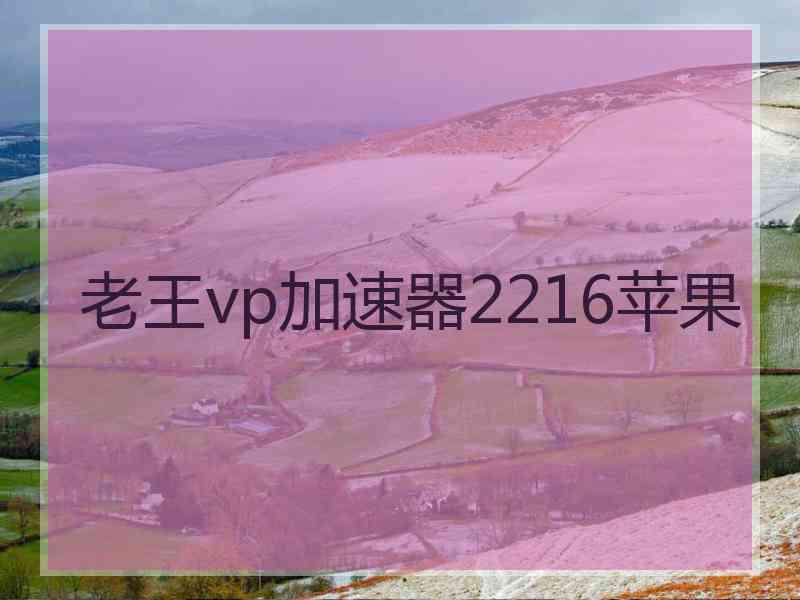 老王vp加速器2216苹果