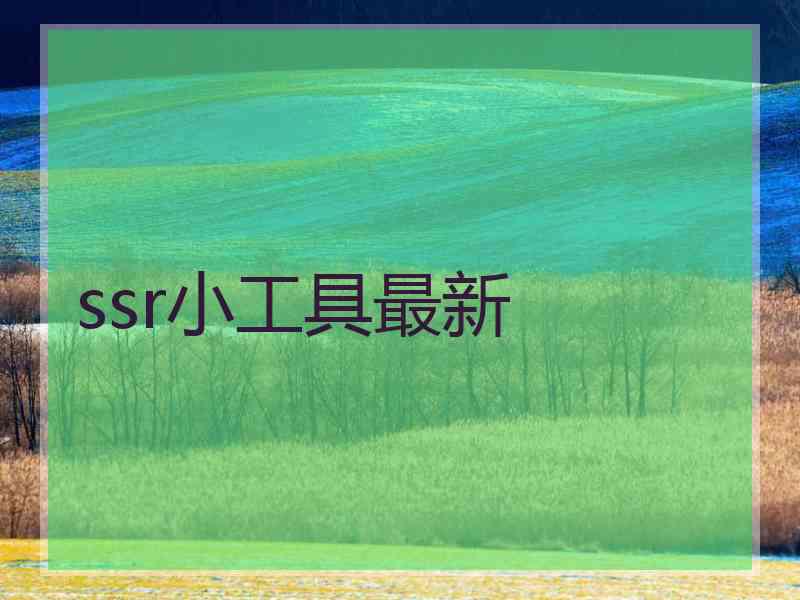 ssr小工具最新