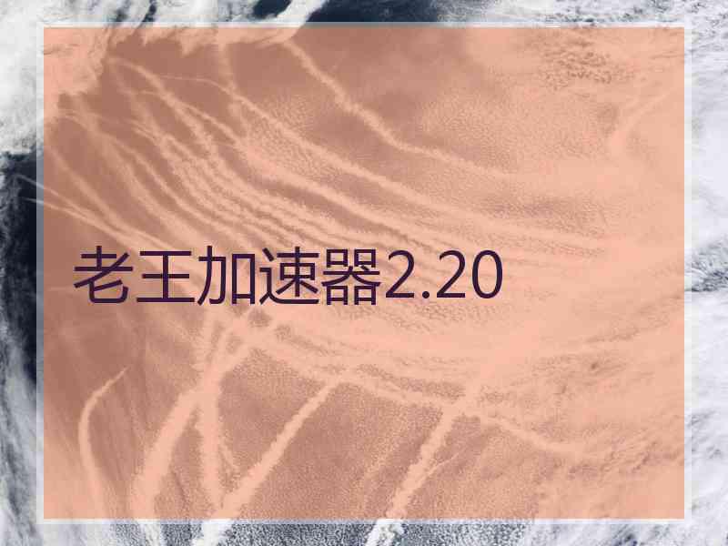 老王加速器2.20