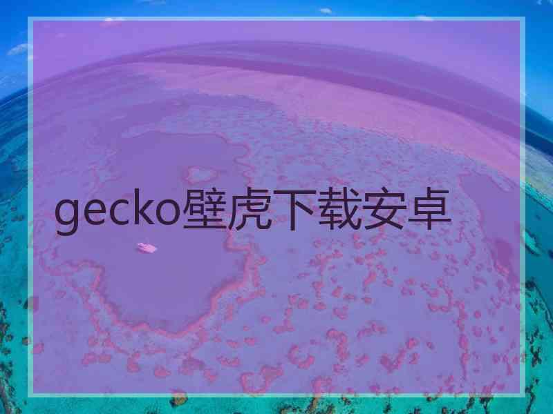 gecko壁虎下载安卓