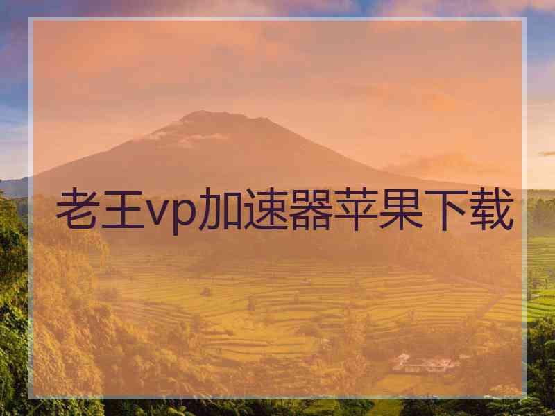 老王vp加速器苹果下载