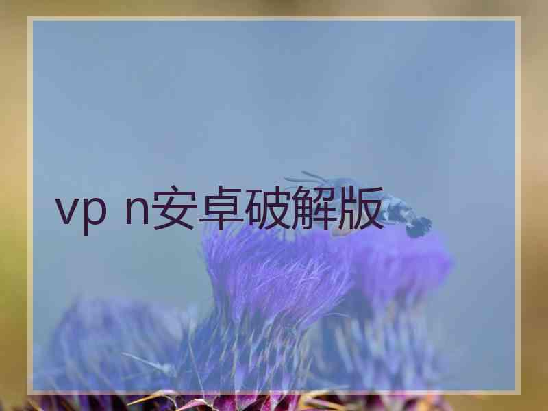 vp n安卓破解版