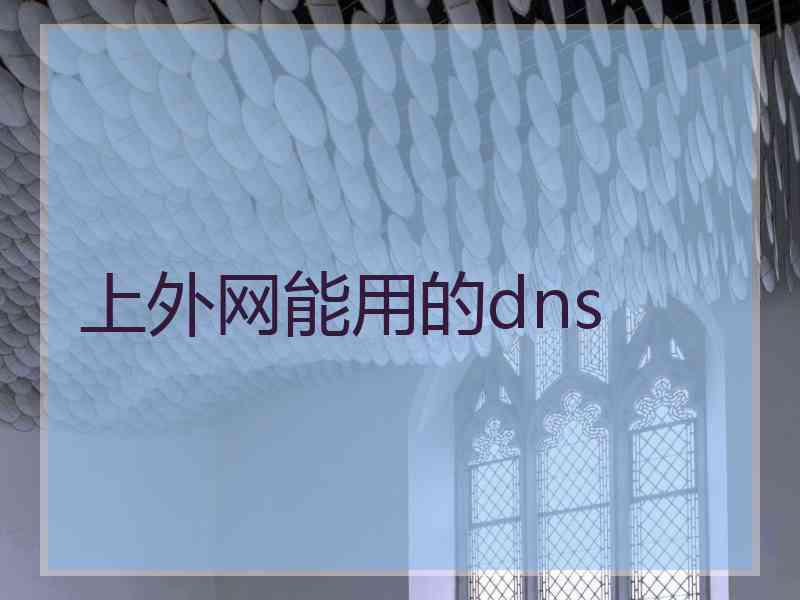 上外网能用的dns