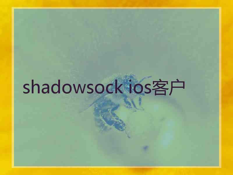 shadowsock ios客户