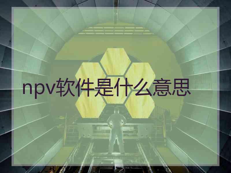 npv软件是什么意思