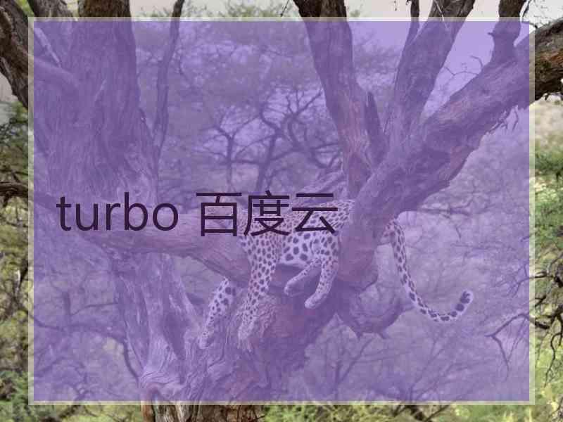 turbo 百度云