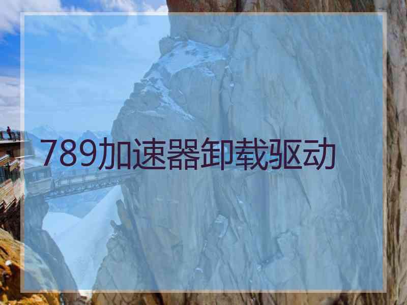 789加速器卸载驱动