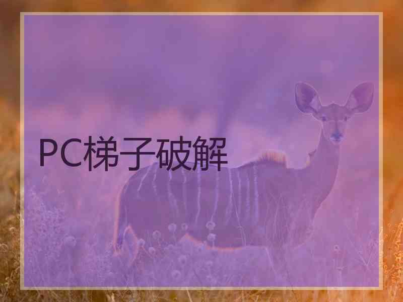 PC梯子破解