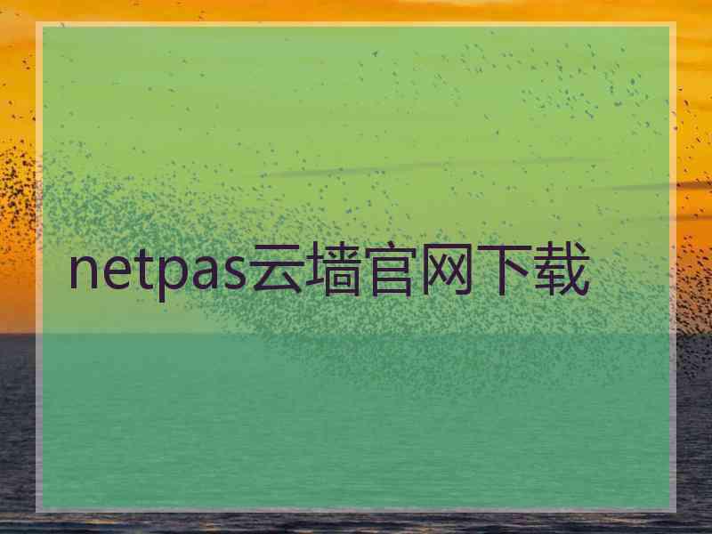 netpas云墙官网下载