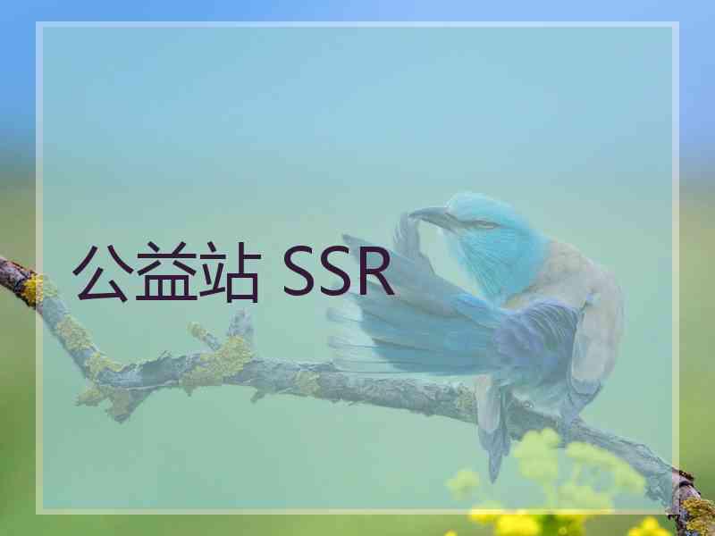 公益站 SSR