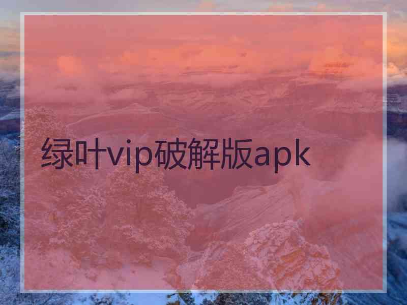 绿叶vip破解版apk