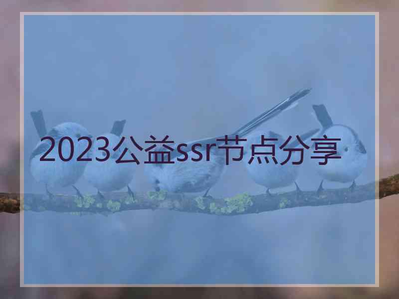 2023公益ssr节点分享