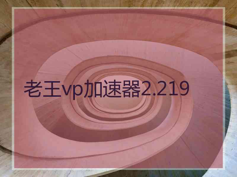 老王vp加速器2.219