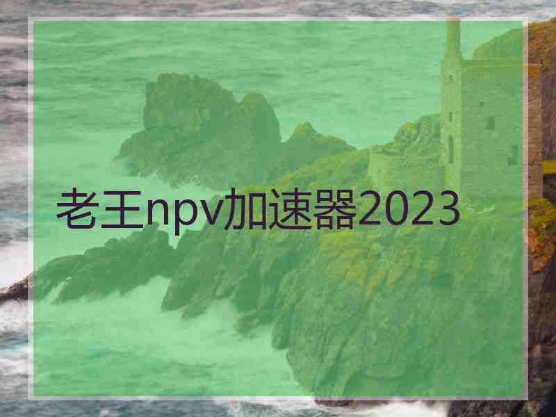 老王npv加速器2023