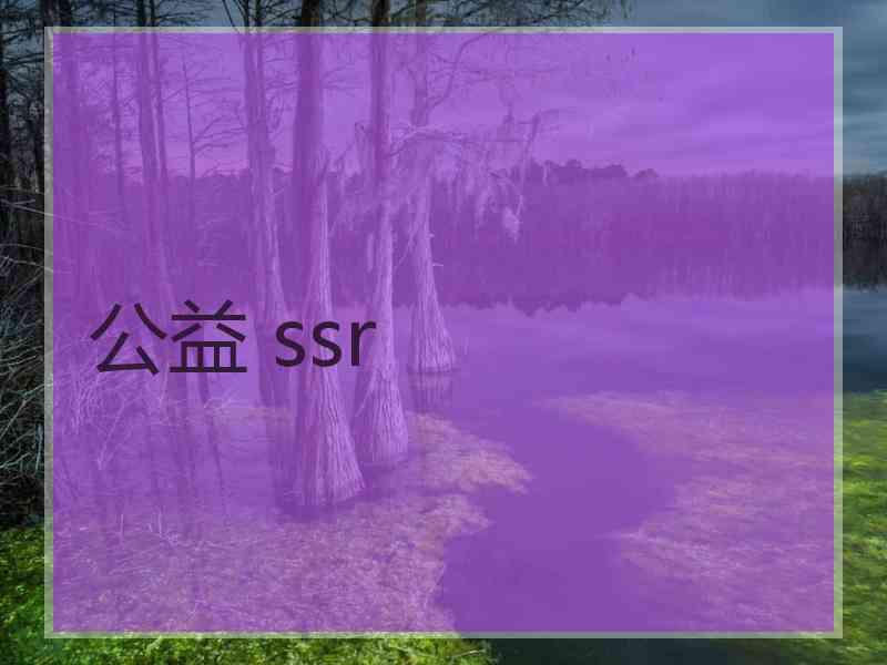 公益 ssr