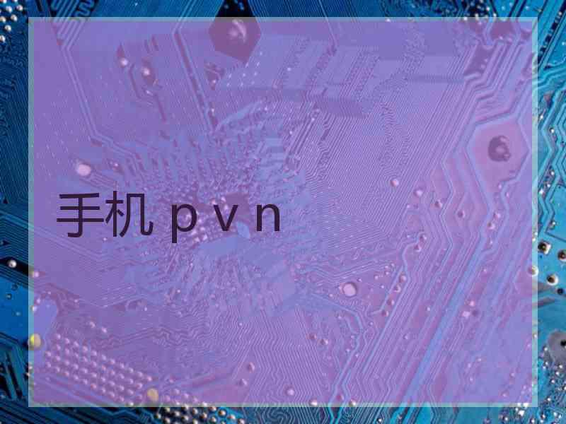 手机 p v n