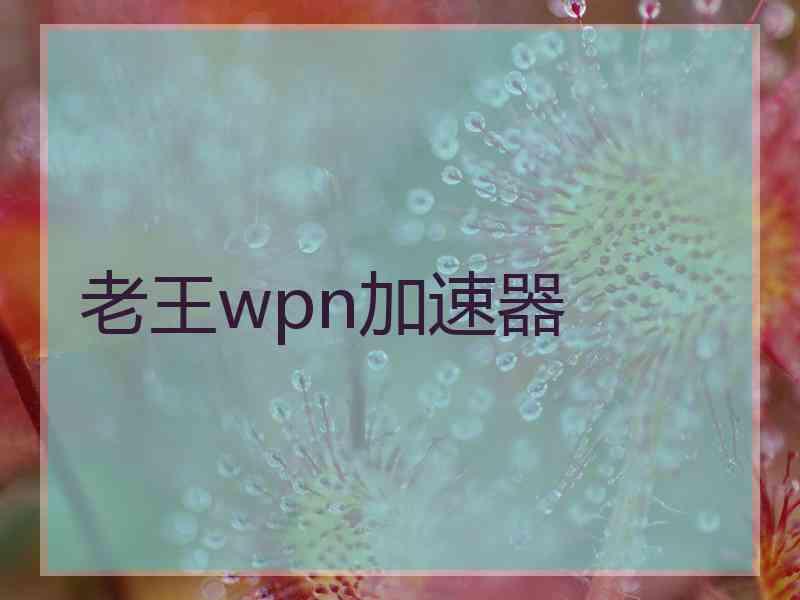 老王wpn加速器