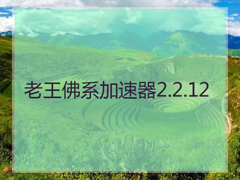 老王佛系加速器2.2.12