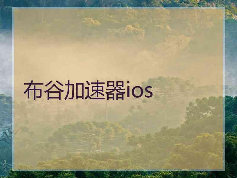 布谷加速器ios