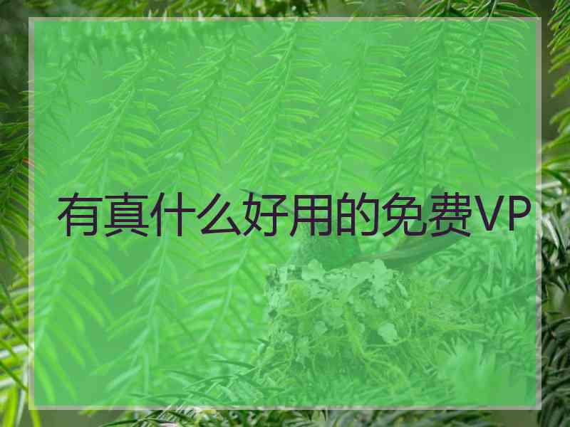 有真什么好用的免费VP