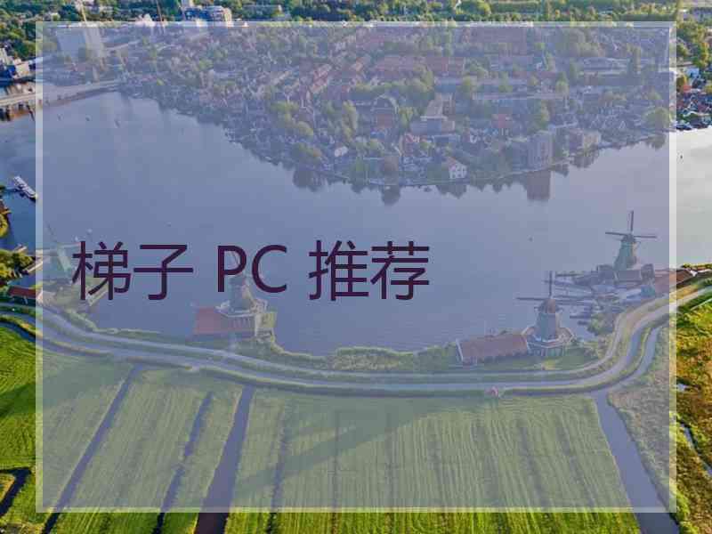 梯子 PC 推荐