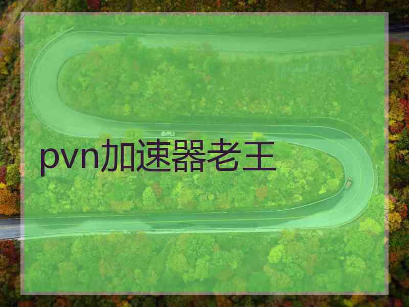 pvn加速器老王