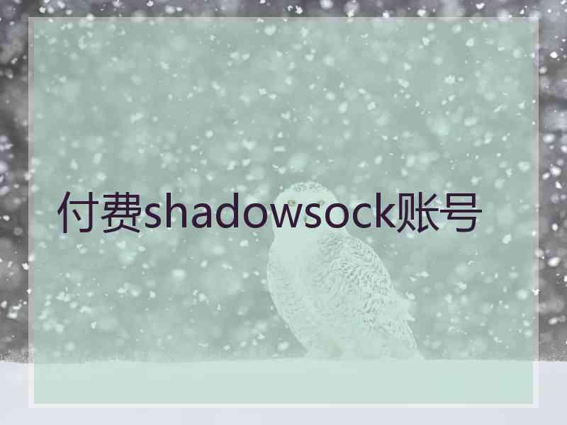 付费shadowsock账号