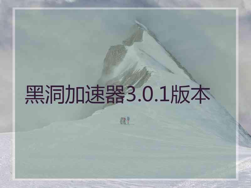 黑洞加速器3.0.1版本