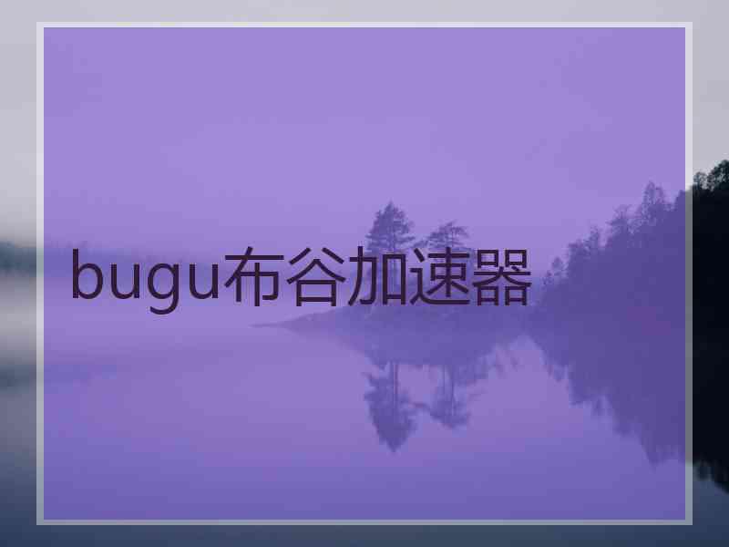 bugu布谷加速器