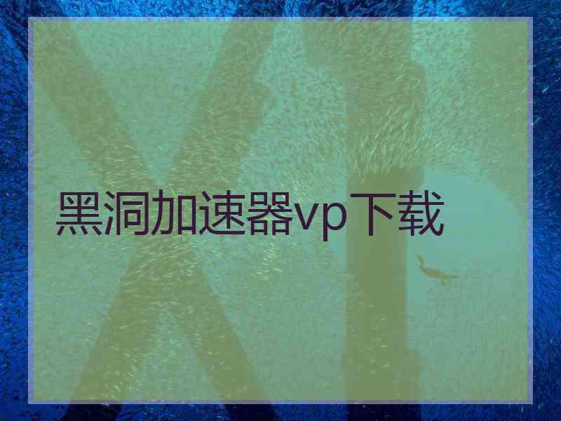 黑洞加速器vp下载