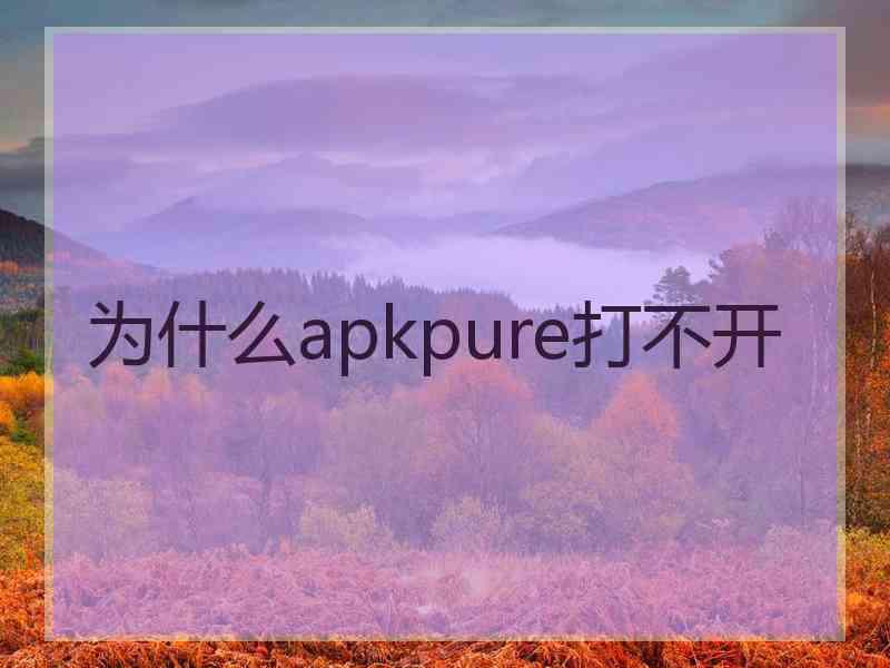 为什么apkpure打不开