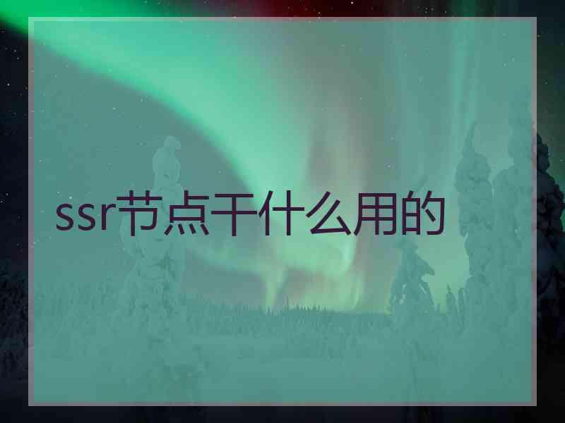 ssr节点干什么用的