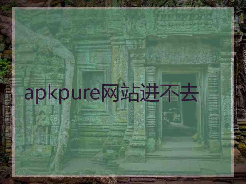 apkpure网站进不去