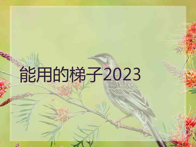 能用的梯子2023