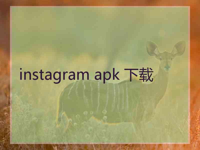 instagram apk 下载