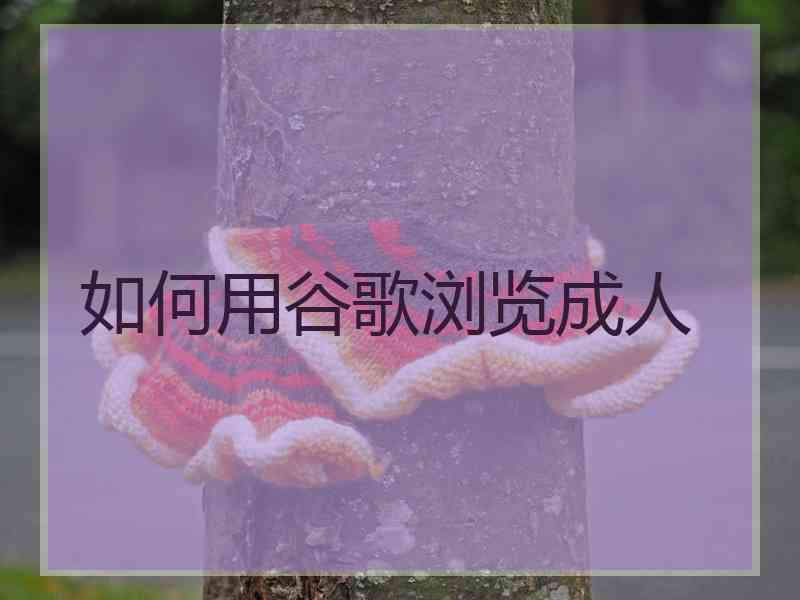 如何用谷歌浏览成人