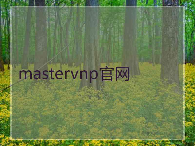 mastervnp官网