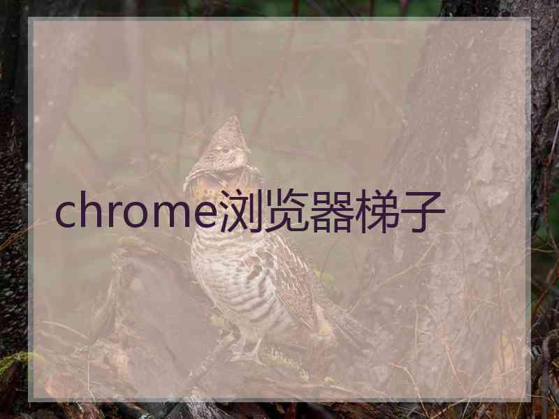 chrome浏览器梯子