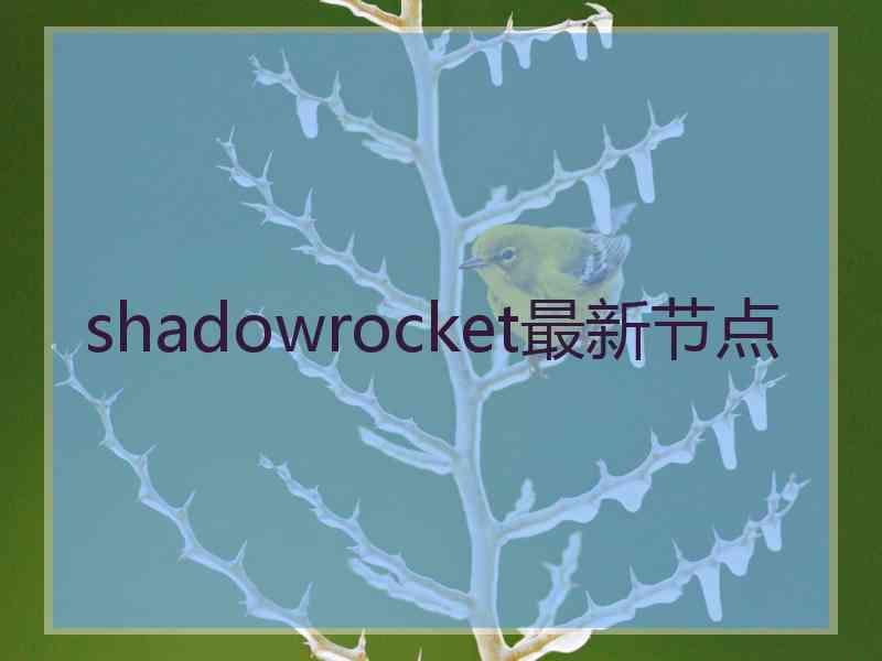 shadowrocket最新节点