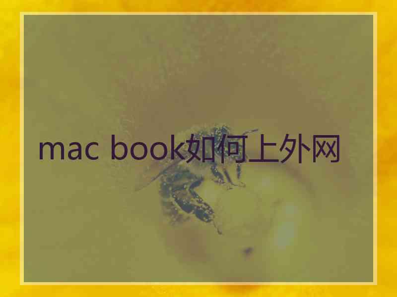 mac book如何上外网