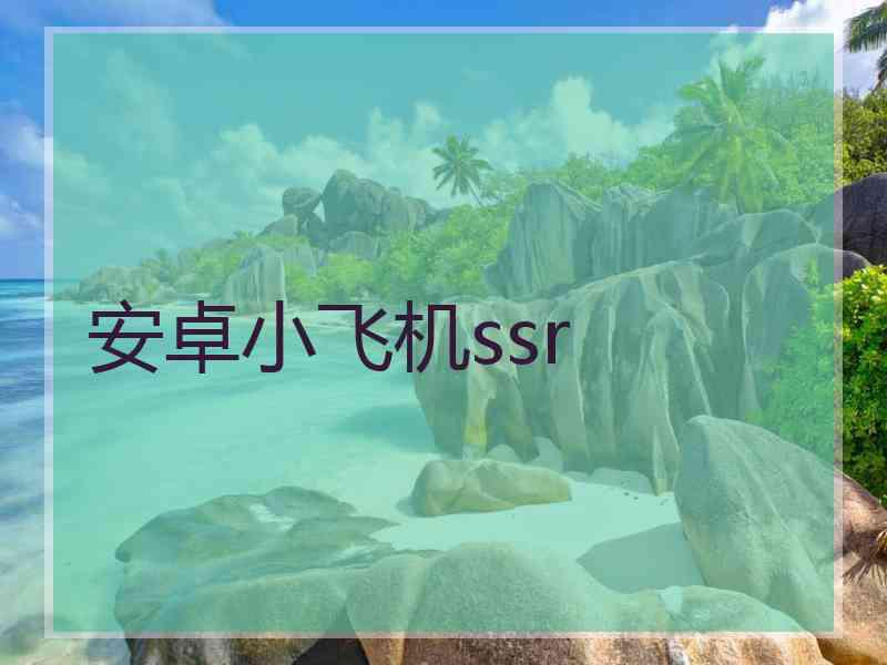 安卓小飞机ssr