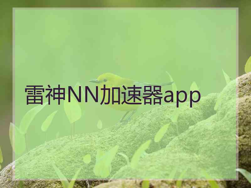 雷神NN加速器app