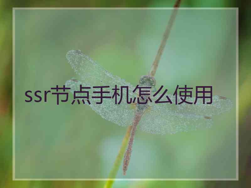 ssr节点手机怎么使用