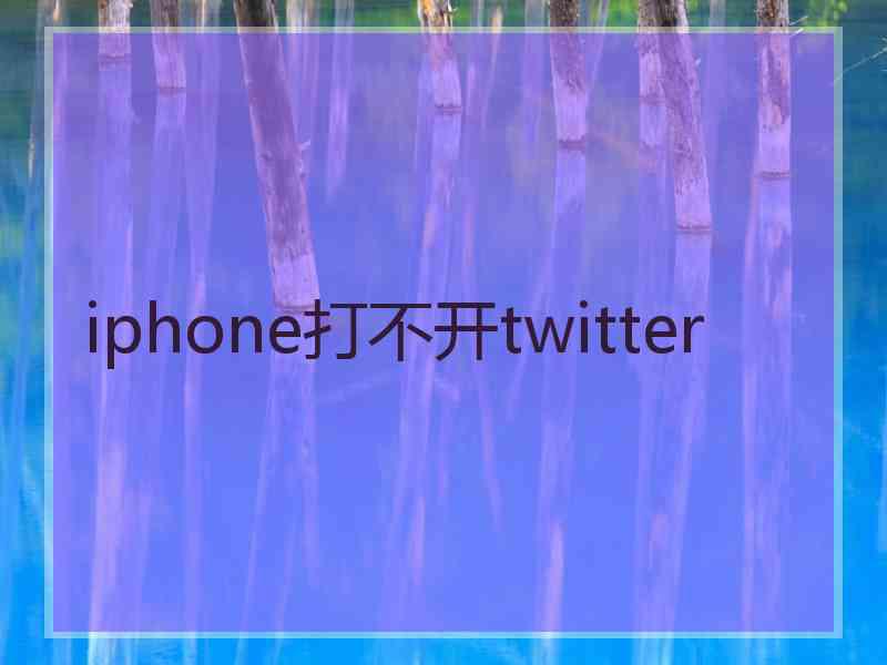 iphone打不开twitter